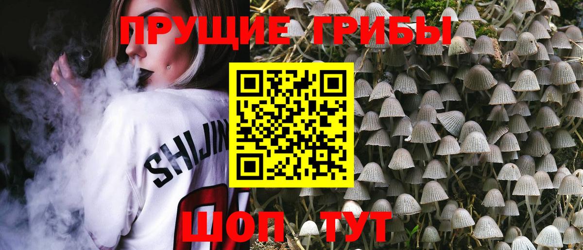 Псилоцибиновые грибы GOLDEN TEACHER Строитель